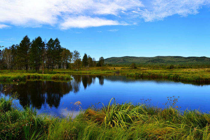 1511920136783091696.jpg 3.jpg