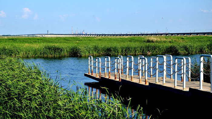 1511920164638035829.jpg 2.jpg