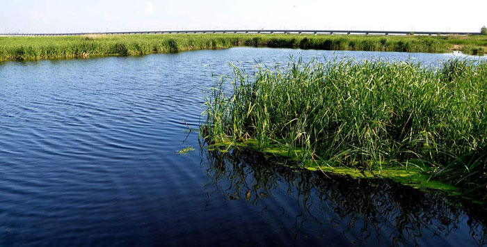 1511920211534027133.jpg 1.jpg